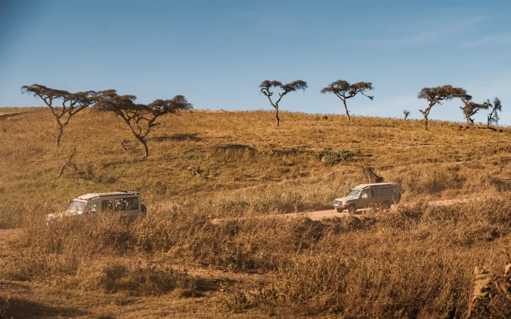 Tanzania Untamed Splendor Safari - Game Drive in the Ngorongoro- African Adventure Specialists - Best Destination Management Company in Tanzania
