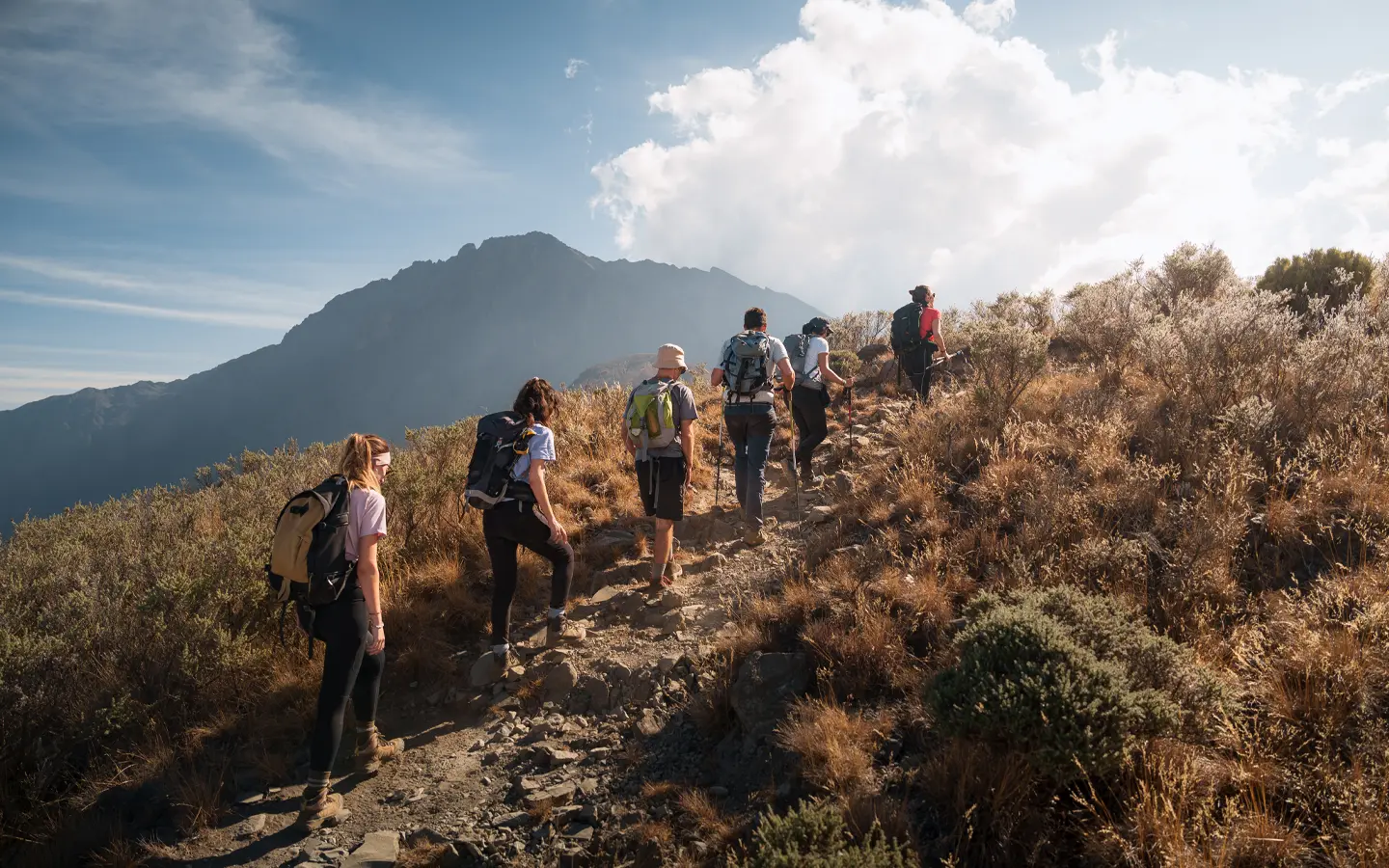 Hikers on Mount Meru in Arusha - African Adventure Specialists - Best Destination Management Company in Tanzania