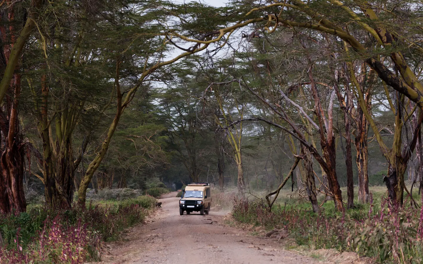 Lake Nakuru National Park - African Adventure Specialists - Best Destination Management Company in Kenya