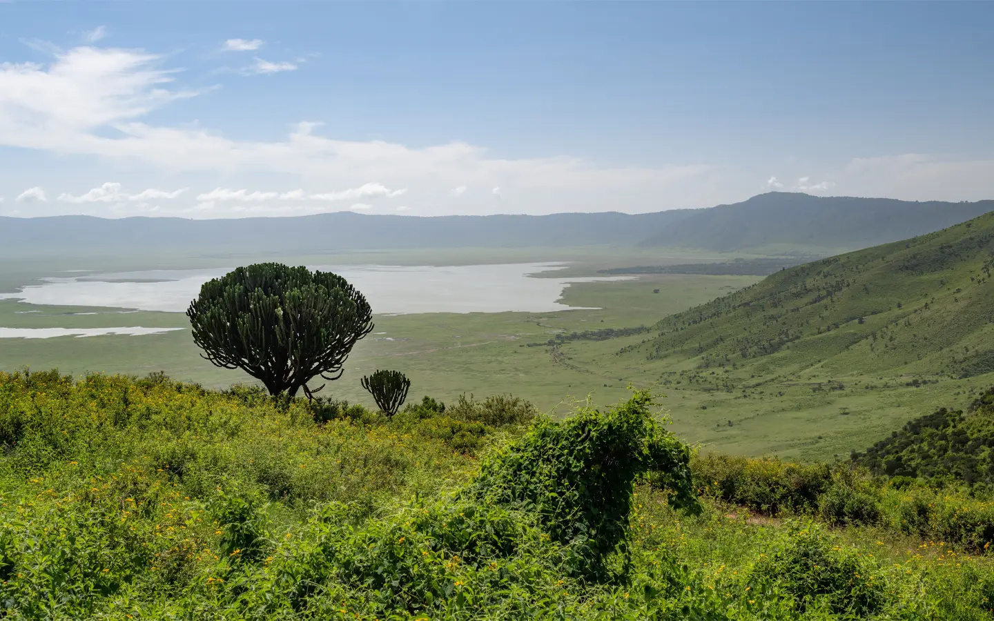 Ngorongoro crater - African Adventure Specialists - Best Destination Management Company in Tanzania