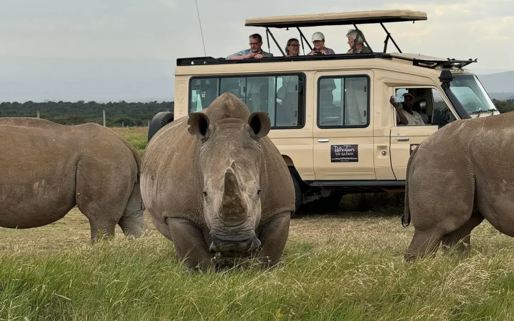 Signature Wings of Kenya Safari - Rhinos in the Maasai Mara - African Adventure Specialists