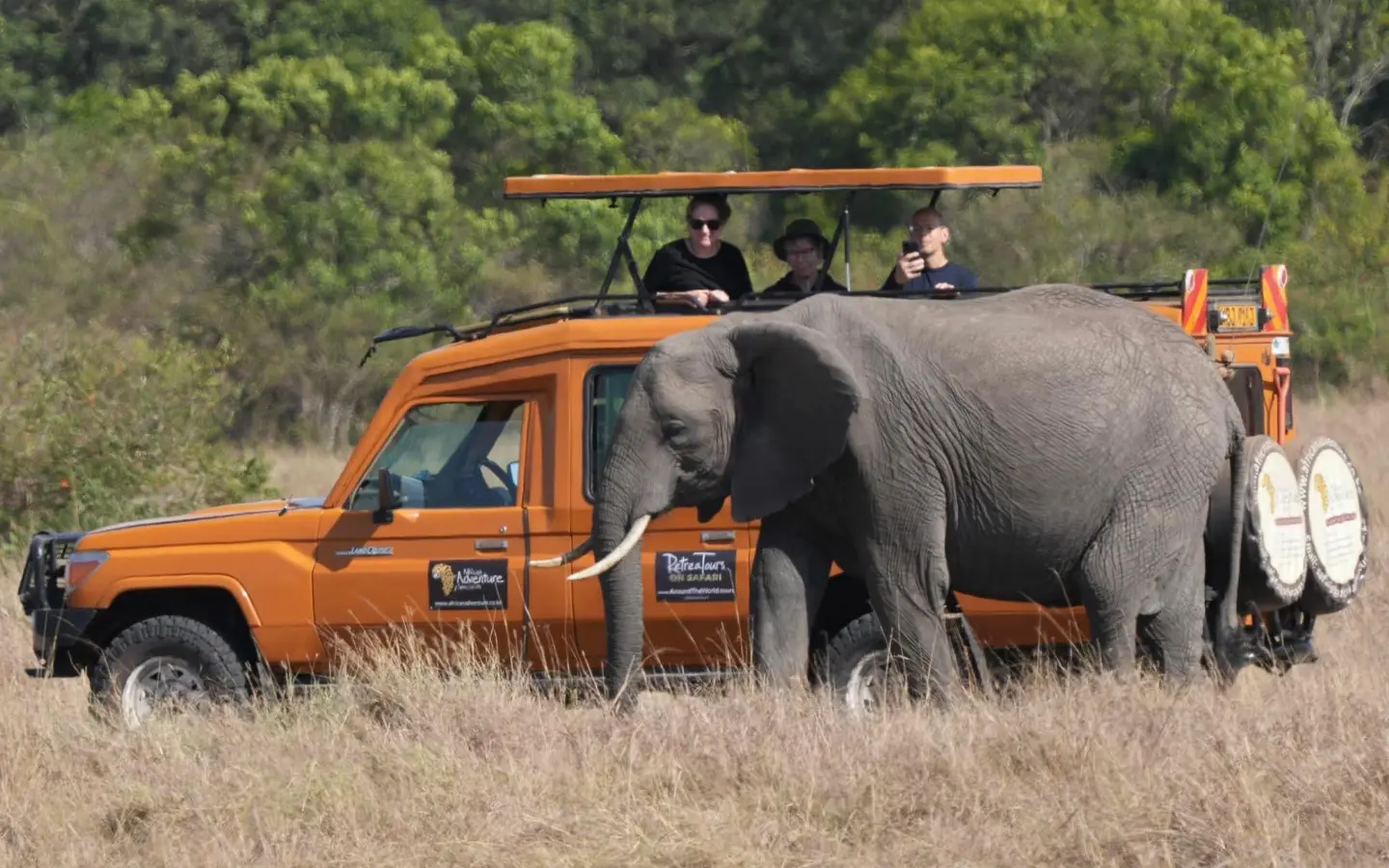 Safari Redefined: The Essence of the Wild - Tourist on Safari in the Maasai Mara - African Adventure Specialists