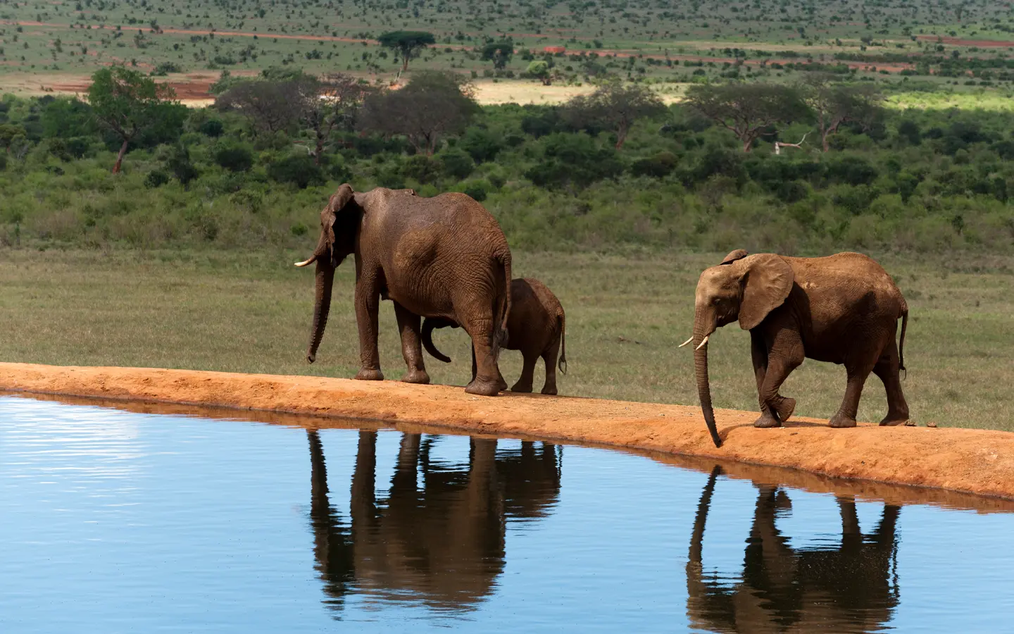 Tsavo East National Park - African Adventure Specialists - Best Destination Management Company in Kenya