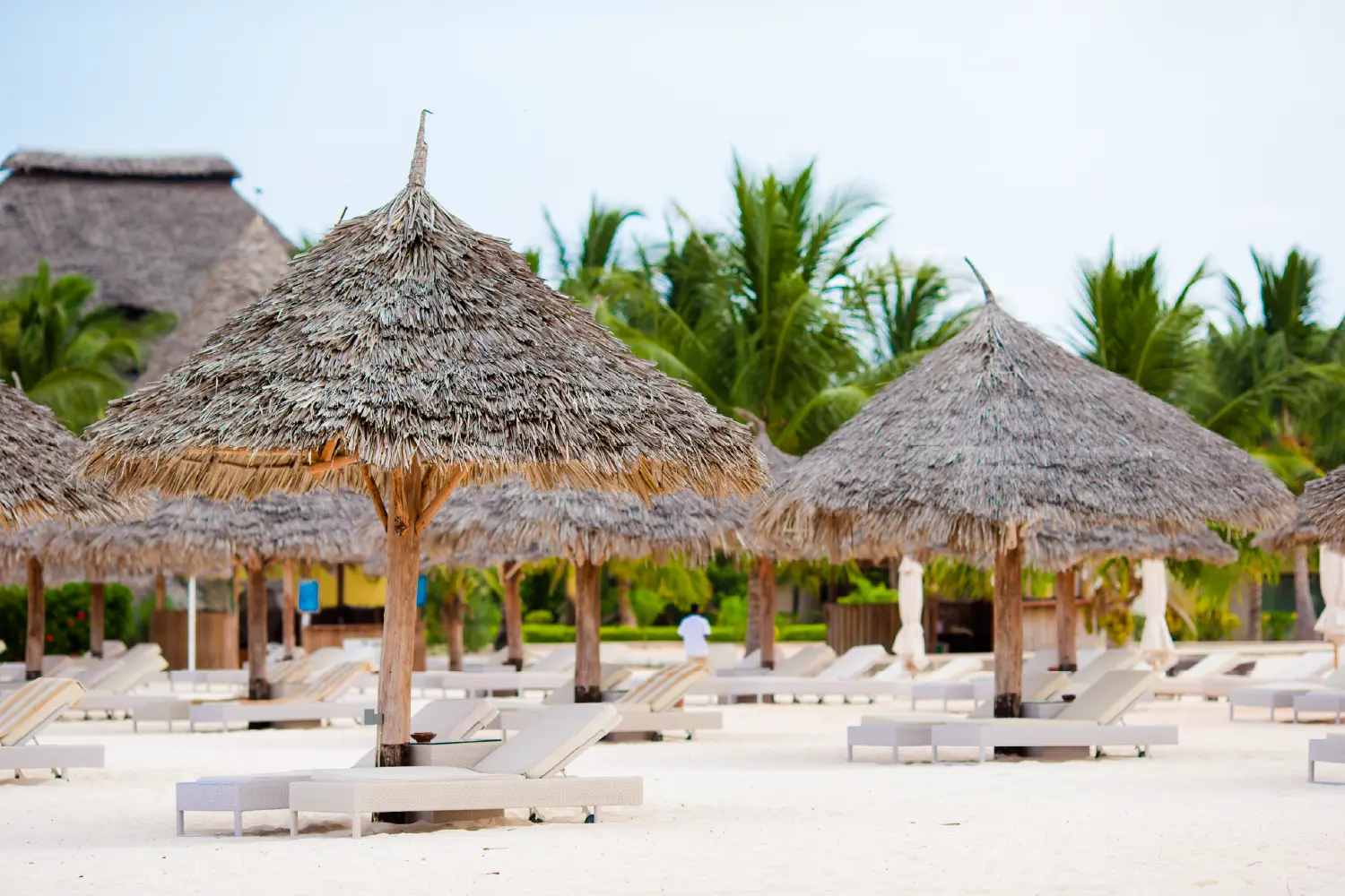 Zanzibar Holiday Package- African Adventure SpecialistsArtboard 1